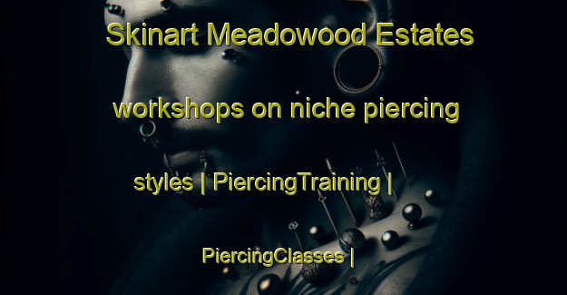 Skinart Meadowood Estates workshops on niche piercing styles | PiercingTraining | PiercingClasses | SkinartTraining-United States